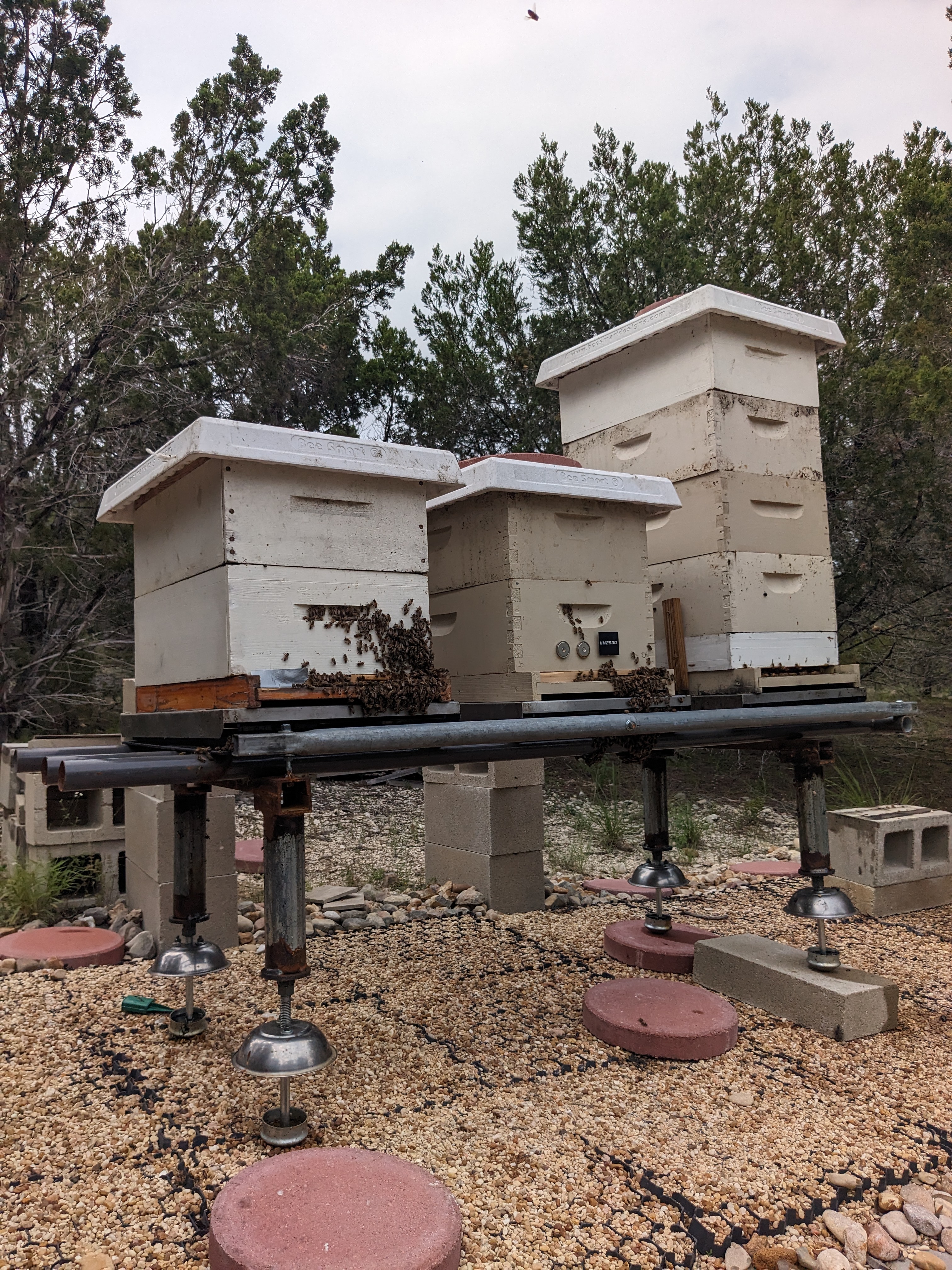 Some beehives
